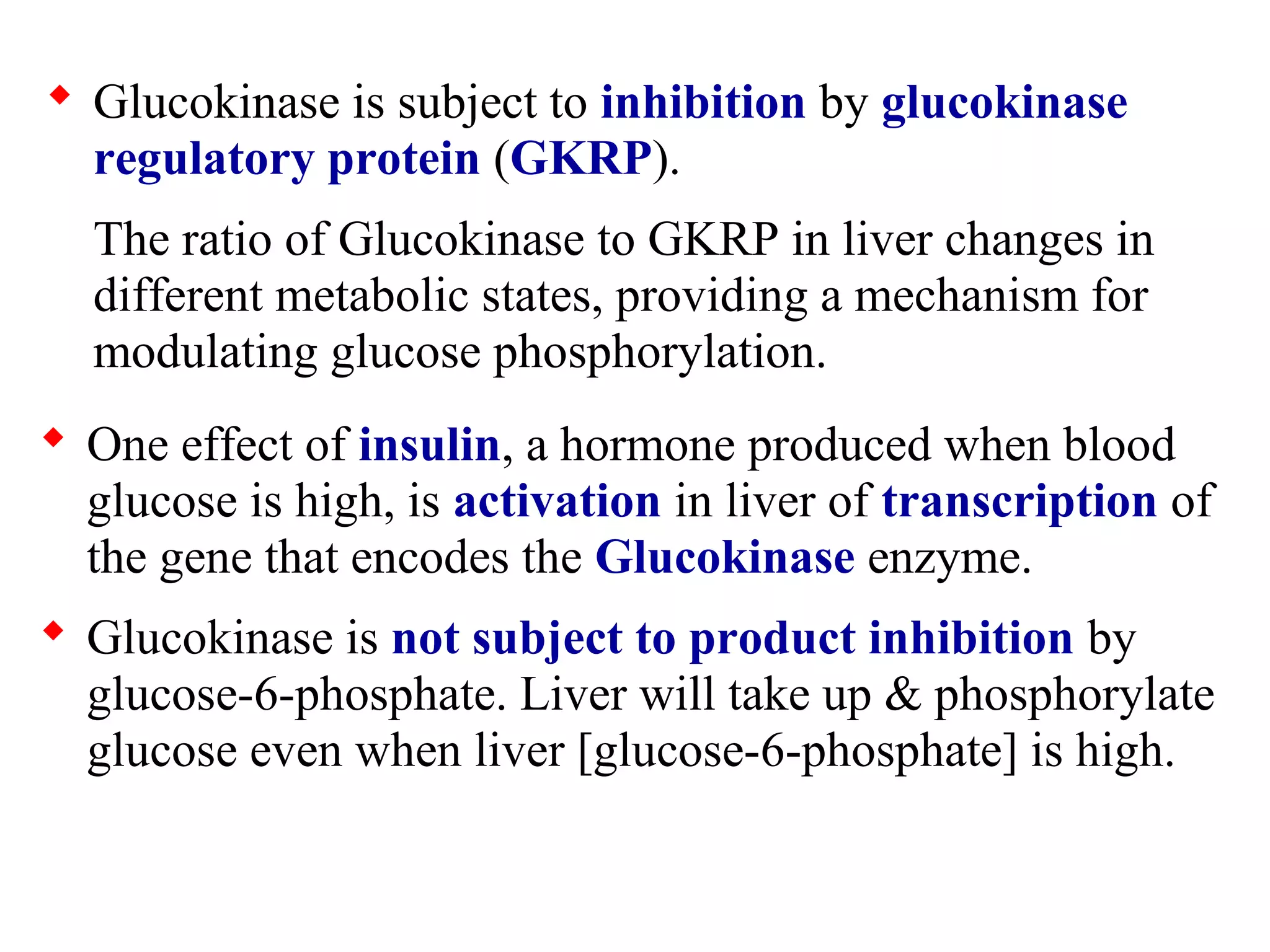  Glucokinase is subject to inhibition by glucokinase 
regulatory protein (GKRP). 
The ratio of Glucokinase to GKRP in liver changes in 
different metabolic states, providing a mechanism for 
modulating glucose phosphorylation. 
 One effect of insulin, a hormone produced when blood 
glucose is high, is activation in liver of transcription of 
the gene that encodes the Glucokinase enzyme. 
 Glucokinase is not subject to product inhibition by 
glucose-6-phosphate. Liver will take up & phosphorylate 
glucose even when liver [glucose-6-phosphate] is high. 
 