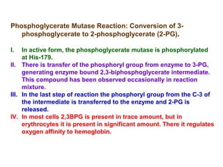 Phosphoglycerate Mutase Reaction: Conversion of 3- 
phosphoglycerate to 2-phosphoglycerate (2-PG). 
I. In active form, the phosphoglycerate mutase is phosphorylated 
at His-179. 
II. There is transfer of the phosphoryl group from enzyme to 3-PG, 
generating enzyme bound 2,3-biphosphoglycerate intermediate. 
This compound has been observed occasionally in reaction 
mixture. 
III. In the last step of reaction the phosphoryl group from the C-3 of 
the intermediate is transferred to the enzyme and 2-PG is 
released. 
IV. In most cells 2,3BPG is present in trace amount, but in 
erythrocytes it is present in significant amount. There it regulates 
oxygen affinity to hemoglobin. 
 