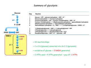 Summary of glycolysis 
-> 10 reaction steps 
-> 1 x C-6 (glucose) converted into 2x C-3 (pyruvate) 
-> oxidation of glucose -> 2 NADH generated 
-> 2 ATPs used + 4 ATPs generated -> pay off: 2 ATPs 
33 
 