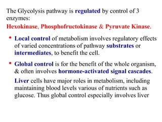 The Glycolysis pathway is regulated by control of 3 
enzymes: 
Hexokinase, Phosphofructokinase & Pyruvate Kinase. 
 Local control of metabolism involves regulatory effects 
of varied concentrations of pathway substrates or 
intermediates, to benefit the cell. 
 Global control is for the benefit of the whole organism, 
& often involves hormone-activated signal cascades. 
Liver cells have major roles in metabolism, including 
maintaining blood levels various of nutrients such as 
glucose. Thus global control especially involves liver 
 