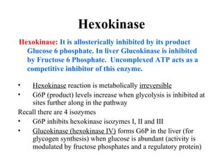 Hexokinase 
Hexokinase: It is allosterically inhibited by its product 
Glucose 6 phosphate. In liver Glucokinase is inhibited 
by Fructose 6 Phosphate. Uncomplexed ATP acts as a 
competitive inhibitor of this enzyme. 
• Hexokinase reaction is metabolically irreversible 
• G6P (product) levels increase when glycolysis is inhibited at 
sites further along in the pathway 
Recall there are 4 isozymes 
• G6P inhibits hexokinase isozymes I, II and III 
• Glucokinase (hexokinase IV) forms G6P in the liver (for 
glycogen synthesis) when glucose is abundant (activity is 
modulated by fructose phosphates and a regulatory protein) 
 