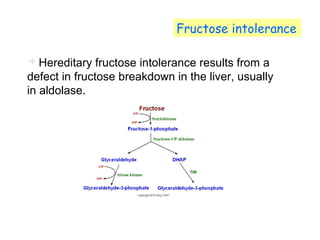 Fructose intolerance 
Hereditary fructose intolerance results from a 
defect in fructose breakdown in the liver, usually 
in aldolase. 
 