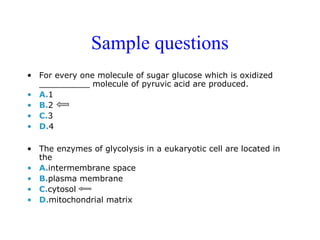 Sample questions 
• For every one molecule of sugar glucose which is oxidized 
__________ molecule of pyruvic acid are produced. 
• A.1 
• B.2 
• C.3 
• D.4 
• The enzymes of glycolysis in a eukaryotic cell are located in 
the 
• A.intermembrane space 
• B.plasma membrane 
• C.cytosol 
• D.mitochondrial matrix 
 