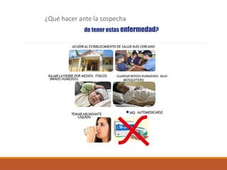 ¿Qué hacer ante la sospecha
de tener estas enfermedad?
NO AUTOMEDICARSE.
BAJAR LA FIEBRE POR MEDIOS FÍSICOS
(PAÑOS HÚMEDOS)
1 ACUDIR AL ESTABLECIMIENTO DE SALUD MÁS CERCANO
3 GUARDAR REPOSO DURMIENDO BAJO
MOSQUITERO
4 TOMAR ABUNDANTE
LÍQUIDO
 