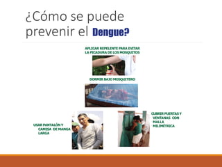 ¿Cómo se puede
prevenir el Dengue?
APLICAR REPELENTE PARA EVITAR
LA PICADURA DE LOS MOSQUITOS
DORMIR BAJO MOSQUITERO
3 USAR PANTALÓN Y
CAMISA DE MANGA
LARGA
4 CUBRIR PUERTAS Y
VENTANAS CON
MALLA
MILIMÉTRICA
 