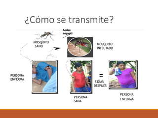 ¿Cómo se transmite?
MOSQUITO
SANO
MOSQUITO
INFECTADO
PERSONA
ENFERMA
PERSONA
ENFERMA
PERSONA
SANA
7 DÍAS
DESPUÉS
Aedes
aegypti
A
 