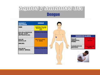 Dengue
SIGNOS Y
SÍNTOMAS
DENGUE
FIEBRE Moderada Frecuente
Duración: 5 - 7
días
DOLORALREDEDOR
DE LOS OJOS
(RETROOCULAR)
Intenso y frecuente
DOLOR
MUSCULAR
(MIALGIAS)
Muy frecuente
e intenso
DOLOR DE
CABEZA (CEF
ALEA)
Intenso y frecuente
SIGNOS DE ALARMA
DOLOR
ABDOMINAL
INTENSO
Es un signo de
alarma
SANGRADOS DE
MUCOSAS
Es un signo de
alarma
1
3
4
5
6
5
6
 