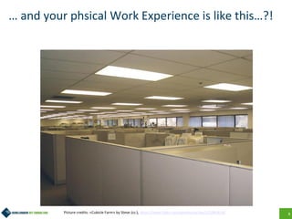 8
… and your phsical Work Experience is like this…?!
Picture credits: «Cubicle Farm» by Steve (cc:), https://www.flickr.com/photos/ste3ve/521083416/
 