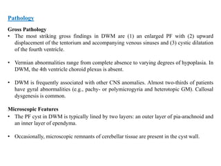 Pathology
Gross Pathology
• The most striking gross findings in DWM are (1) an enlarged PF with (2) upward
displacement of the tentorium and accompanying venous sinuses and (3) cystic dilatation
of the fourth ventricle.
• Vermian abnormalities range from complete absence to varying degrees of hypoplasia. In
DWM, the 4th ventricle choroid plexus is absent.
• DWM is frequently associated with other CNS anomalies. Almost two-thirds of patients
have gyral abnormalities (e.g., pachy- or polymicrogyria and heterotopic GM). Callosal
dysgenesis is common.
Microscopic Features
• The PF cyst in DWM is typically lined by two layers: an outer layer of pia-arachnoid and
an inner layer of ependyma.
• Occasionally, microscopic remnants of cerebellar tissue are present in the cyst wall.
 