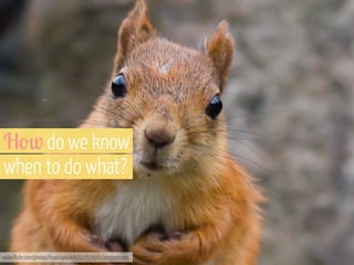 H'w do we know
when to do what?

www.flickr.com/photos/tomitapio/4053123799/in/photostream

 