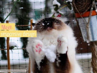 M!!+
responsive design

www.flickr.com/photos/taytom/5277657429

 