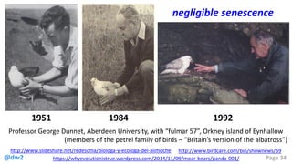 @dw2 Page 34
1951 1984
negligible senescence
https://whyevolutionistrue.wordpress.com/2014/11/09/moar-bears/panda-001/
http://www.slideshare.net/redescma/biologa-y-ecologa-del-alimoche
1992
Professor George Dunnet, Aberdeen University, with “fulmar 57”, Orkney island of Eynhallow
(members of the petrel family of birds – “Britain’s version of the albatross”)
http://www.birdcare.com/bin/shownews/69
 