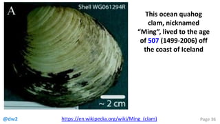 @dw2 Page 36https://en.wikipedia.org/wiki/Ming_(clam)
This ocean quahog
clam, nicknamed
“Ming”, lived to the age
of 507 (1499-2006) off
the coast of Iceland
 