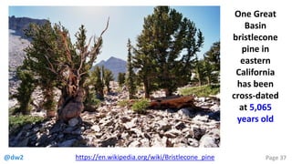 @dw2 Page 37https://en.wikipedia.org/wiki/Bristlecone_pine
One Great
Basin
bristlecone
pine in
eastern
California
has been
cross-dated
at 5,065
years old
 