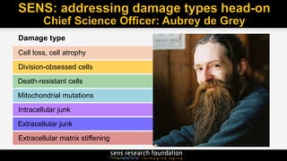 Damage type
Cell loss, cell atrophy
Division-obsessed cells
Death-resistant cells
Mitochondrial mutations
Intracellular junk
Extracellular junk
Extracellular matrix stiffening
 