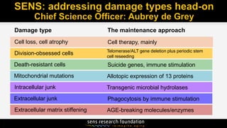 Damage type The maintenance approach
Cell loss, cell atrophy Cell therapy, mainly
Division-obsessed cells
Death-resistant cells Suicide genes, immune stimulation
Mitochondrial mutations Allotopic expression of 13 proteins
Intracellular junk Transgenic microbial hydrolases
Extracellular junk Phagocytosis by immune stimulation
Extracellular matrix stiffening AGE-breaking molecules/enzymes
Telomerase/ALT gene deletion plus periodic stem
cell reseeding
 