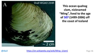 @dw2 Page 36https://en.wikipedia.org/wiki/Ming_(clam)
This ocean quahog
clam, nicknamed
“Ming”, lived to the age
of 507 (1...