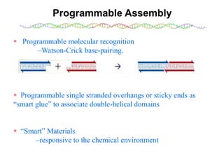 DNA mediated self assembly and structures | PPT