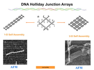 DNA mediated self assembly and structures | PPT