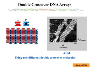 DNA mediated self assembly and structures | PPT