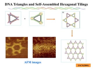 DNA mediated self assembly and structures | PPT