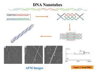 DNA mediated self assembly and structures | PPT