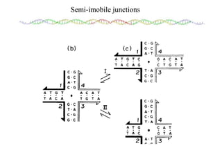 DNA mediated self assembly and structures | PPT