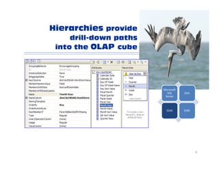 Data Warehouse VIP Tour