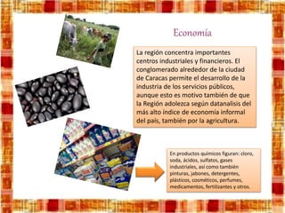 Economía
La región concentra importantes
centros industriales y financieros. El
conglomerado alrededor de la ciudad
de Caracas permite el desarrollo de la
industria de los servicios públicos,
aunque esto es motivo también de que
la Región adolezca según datanalisis del
más alto índice de economía informal
del país, también por la agricultura.
En productos químicos figuran: cloro,
soda, ácidos, sulfatos, gases
industriales, así como también
pinturas, jabones, detergentes,
plásticos, cosméticos, perfumes,
medicamentos, fertilizantes y otros.
 