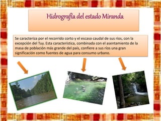 Se caracteriza por el recorrido corto y el escaso caudal de sus ríos, con la
excepción del Tuy. Esta característica, combinada con el asentamiento de la
masa de población más grande del país, confiere a sus ríos una gran
significación como fuentes de agua para consumo urbano.
Hidrografíadel estado Miranda
 