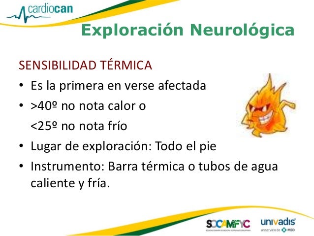 Pie diabetico cardiocan Pie diabetico cardiocan
