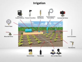 Irrigation
 