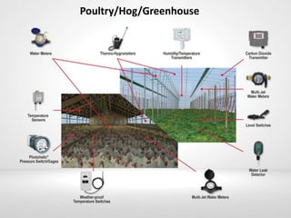 Poultry/Hog/Greenhouse
 