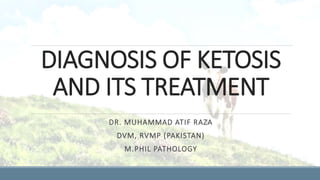 DIAGNOSIS OF KETOSIS
AND ITS TREATMENT
DR. MUHAMMAD ATIF RAZA
DVM, RVMP (PAKISTAN)
M.PHIL PATHOLOGY
 