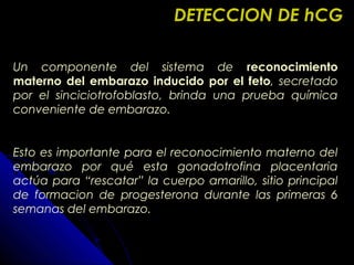 Un componente del sistema de reconocimiento
materno del embarazo inducido por el feto, secretado
por el sinciciotrofoblasto, brinda una prueba química
conveniente de embarazo.
Esto es importante para el reconocimiento materno del
embarazo por qué esta gonadotrofina placentaria
actúa para “rescatar” la cuerpo amarillo, sitio principal
de formacion de progesterona durante las primeras 6
semanas del embarazo.
DETECCION DE hCGDETECCION DE hCG
 