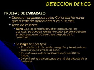 DETECCION DE hCGDETECCION DE hCG
PRUEBAS DE EMBARAZOPRUEBAS DE EMBARAZO
 Detectan la gonadotropina Corionica HumanaDetectan la gonadotropina Corionica Humana
que puede ser detectada a los 7-10 días.que puede ser detectada a los 7-10 días.
 Tipos de Pruebas:Tipos de Pruebas:
 Orina:Orina: Son las llamadas pruebas caseras, no sonSon las llamadas pruebas caseras, no son
costosas, se pueden realizar en casa. Determina si estacostosas, se pueden realizar en casa. Determina si esta
embarazada hasta 2 semanas después de laembarazada hasta 2 semanas después de la
ovulación.ovulación.
 EnEn sangresangre hay dos tipos:hay dos tipos:
 El cualitativo solo da positivo o negativo y tiene la mismaEl cualitativo solo da positivo o negativo y tiene la misma
exactitud que la prueba de orina.exactitud que la prueba de orina.
 El cuantitativo mide la cantidad exacta de hGC enEl cuantitativo mide la cantidad exacta de hGC en
sangre.sangre.
 Determina si esta embarazada en 8-10 días después de laDetermina si esta embarazada en 8-10 días después de la
ovulación.ovulación.
 