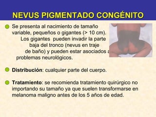 Se presenta al nacimiento de tamaño  variable, pequeños o gigantes (> 10 cm).  Los gigantes  pueden invadir la parte  baja del tronco (nevus en traje  de baño) y pueden estar asociados a  problemas neurológicos. Distribución : cualquier parte del cuerpo. Tratamiento : se recomienda tratamiento quirúrgico no importando su tamaño ya que suelen transformarse en melanoma maligno antes de los 5 años de edad. NEVUS PIGMENTADO CONGÉNITO 