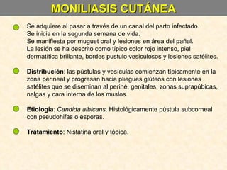 MONILIASIS CUTÁNEA Se adquiere al pasar a través de un canal del parto infectado. Se inicia en la segunda semana de vida. Se manifiesta por muguet oral y lesiones en área del pañal. La lesión se ha descrito como típico color rojo intenso, piel dermatítica brillante, bordes pustulo vesiculosos y lesiones satélites. Distribución : las pústulas y vesículas comienzan típicamente en la zona perineal y progresan hacia pliegues glúteos con lesiones satélites que se diseminan al periné, genitales, zonas suprapúbicas, nalgas y cara interna de los muslos. Etiología :  Candida albicans . Histológicamente pústula subcorneal con pseudohifas o esporas. Tratamiento : Nistatina oral y tópica. 