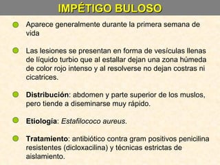 IMPÉTIGO BULOSO Aparece generalmente durante la primera semana de vida Las lesiones se presentan en forma de vesículas llenas de líquido turbio que al estallar dejan una zona húmeda de color rojo intenso y al resolverse no dejan costras ni cicatrices. Distribución : abdomen y parte superior de los muslos, pero tiende a diseminarse muy rápido. Etiología :  Estafilococo aureus .  Tratamiento : antibiótico contra gram positivos penicilina resistentes (dicloxacilina) y técnicas estrictas de aislamiento. 