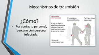 Mecanismos de trasmisión
¿Cómo?
- Por contacto personal,
cercano con persona
infectada.
 