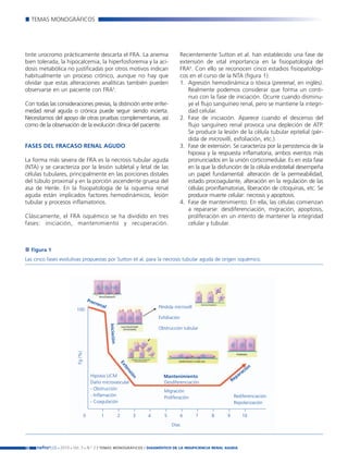 Nefroplus 29_10_meritxell_correcciones                            14/10/10          10:27    Página 18




             TEMAS MONOGRÁFICOS




        tinte urocromo prácticamente descarta el FRA. La anemia                                           Recientemente Sutton et al. han establecido una fase de
        bien tolerada, la hipocalcemia, la hiperfosforemia y la aci-                                      extensión de vital importancia en la fisiopatología del
        dosis metabólica no justificadas por otros motivos indican                                        FRA6. Con ello se reconocen cinco estadios fisiopatológi-
        habitualmente un proceso crónico, aunque no hay que                                               cos en el curso de la NTA (figura 1):
        olvidar que estas alteraciones analíticas también pueden                                          1. Agresión hemodinámica o tóxica (prerenal, en inglés).
        observarse en un paciente con FRA5.                                                                  Realmente podemos considerar que forma un conti-
                                                                                                             nuo con la fase de iniciación. Ocurre cuando disminu-
        Con todas las consideraciones previas, la distinción entre enfer-                                    ye el flujo sanguíneo renal, pero se mantiene la integri-
        medad renal aguda o crónica puede seguir siendo incierta.                                            dad celular.
        Necesitamos del apoyo de otras pruebas complementarias, así                                       2. Fase de iniciación. Aparece cuando el descenso del
        como de la observación de la evolución clínica del paciente.                                         flujo sanguíneo renal provoca una depleción de ATP.
                                                                                                             Se produce la lesión de la célula tubular epitelial (pér-
                                                                                                             dida de microvilli, exfoliación, etc.).
        FASES DEL FRACASO RENAL AGUDO                                                                     3. Fase de extensión. Se caracteriza por la persistencia de la
                                                                                                             hipoxia y la respuesta inflamatoria, ambos eventos más
        La forma más severa de FRA es la necrosis tubular aguda                                              pronunciados en la unión corticomedular. Es en esta fase
        (NTA) y se caracteriza por la lesión subletal y letal de las                                         en la que la disfunción de la célula endotelial desempeña
        células tubulares, principalmente en las porciones distales                                          un papel fundamental: alteración de la permeabilidad,
        del túbulo proximal y en la porción ascendente gruesa del                                            estado procoagulante, alteración en la regulación de las
        asa de Henle. En la fisiopatología de la isquemia renal                                              células proinflamatorias, liberación de citoquinas, etc. Se
        aguda están implicados factores hemodinámicos, lesión                                                produce muerte celular: necrosis y apoptosis.
        tubular y procesos inflamatorios.                                                                 4. Fase de mantenimiento. En ella, las células comienzan
                                                                                                             a repararse: desdiferenciación, migración, apoptosis,
        Clásicamente, el FRA isquémico se ha dividido en tres                                                proliferación en un intento de mantener la integridad
        fases: iniciación, mantenimiento y recuperación.                                                     celular y tubular.



             Figura 1
        Las cinco fases evolutivas propuestas por Sutton et al. para la necrosis tubular aguda de origen isquémico.




                                               Pre
                                                  rren
                                                      al                                    Pérdida microvilli
                                  100
                                                                                            Exfoliación
                                                           Iniciación




                                                                                            Obstrucción tubular
                                  Fg (%)




                                                                        Ex




                                                                                                                                           n
                                                                          te




                                                                                                                                        ció
                                                                            ns




                                                                                                                                      ra
                                                                                                                                    pa
                                                                              ió




                                                Hipoxia UCM                                   Mantenimiento
                                                                                n




                                                Daño microvascular                            Desdiferenciación                   Re
                                                - Obstrucción                                  Migración
                                                - Inflamación                                  Proliferación                       Rediferenciación
                                                - Coagulación                                                                      Repolarización

                                           0         1                  2      3      4        5          6      7     8      9        10
                                                                                                   Días



        18     nefroPLUS 2010 Vol. 3 N.º 2 / TEMAS
                        ■     ■            ■                    MONOGRÁFICOS / DIAGNÓSTICO DE LA INSUFICIENCIA RENAL AGUDA
 