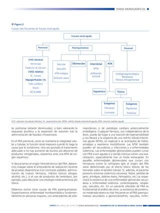 Nefroplus 29_10_meritxell_correcciones               14/10/10      10:27       Página 23




                                                                                                                            TEMAS MONOGRÁFICOS




           Figura 2
        Causas más frecuentes de fracaso renal agudo.


                                                                          Fracaso renal agudo




                                     Prerrenal                                Parenquimatoso                                         Posrenal




                            VCE absoluto
                            Hemorragia                    Vascular            Glomerular       Intersticial        NTA
                       Depleción de volumen               Vasculitis                               NTIA
                            VCE relativo
                                                        HTA maligna                             Infiltración                Urológica/ginecológica
                             IC, cirrosis                                                         tumoral                          Neoplasias
                                                       Oclusión vasos
                       Hipoperfusión: Vc                                                                                    Fibrosis retroperitoneal
                           Fallo cardíaco
                               Shock
                            IECA-AINE                                                              Isquémica                 Tóxica



                                                                                                               Exógenos                  Exógenos
                                                                                                               Fármacos                  Pigmentos
                                                                                                               Contraste                 Proteínas


        VCE: volumen circulante efectivo; Vc: vasoconstricción; NTIA: nefritis túbulo-intersticial aguda; NTA: necrosis tubular aguda.


        lar pulmonar (estarán disminuidas), o bien valorando la                        rioesclerosis o de patología cardíaca potencialmente
        respuesta diurética a la expansión de volumen tras la                          embolígena. Cualquier fármaco, con independencia de la
        administración de líquidos intravenosos.                                       dosis, puede dar lugar a una reacción de hipersensibilidad
                                                                                       y nos llevará a la sospecha de una nefritis túbulo-intersti-
        En el FRA prerrenal, como se mantiene la integridad celu-                      cial aguda (NTIA), en especial si se acompaña de fiebre,
        lar y tubular, la función renal mejorará cuando lo haga la                     artralgias y exantema morbiliforme. Las NTIA también
        causa que lo condiciona. Una vez pautado el tratamiento                        pueden ser secundarias a infecciones y a enfermedades
        adecuado si no hay aumento de diuresis y/o descenso de                         sistémicas. Las enfermedades glomerulares pueden cursar
        productos nitrogenados, estaremos ante una NTA de ori-                         con FRA si son agudas o si siendo crónicas sufren una exa-
        gen isquémico.                                                                 cerbación, especialmente tras un brote extracapilar. En
                                                                                       aquellas enfermedades glomerulares que cursan con
        Si descartamos el origen hemodinámico del FRA, debere-                         hematuria (como la nefropatía IgA) el origen del FRA
        mos indagar sobre el antecedente de realización reciente                       viene determinado por el efecto tóxico directo de los
        de pruebas diagnósticas (con contraste yodado), adminis-                       hematíes sobre el epitelio tubular. Si, además, el paciente
        tración de nuevos fármacos, hábitos tóxicos (drogas,                           presenta síntomas sistémicos (anorexia, fiebre, pérdida de
        alcohol, etc.), o el uso de productos de herbolario, por                       peso, artralgias, dolores óseos, hemoptisis, etc.) se sospe-
        ejemplo, para descartar una etiología medicamentosa y/o                        chará la existencia de una enfermedad glomerular secun-
        tóxica.                                                                        daria a enfermedad sistémica: conectivopatías, neopla-
                                                                                       sias, vasculitis, etc. En un paciente afectado de FRA es
        Debemos excluir otras causas de FRA parenquimatoso.                            fundamental el análisis de orina. La existencia de proteinu-
        Sospecharemos enfermedad tromboembólica fundamen-                              ria moderada-severa es más frecuente en el FRA parenqui-
        talmente en personas mayores, con antecedentes de arte-                        matoso secundario a glomerulonefritis, vasculitis, enfer-


                                                  nefroPLUS 2010 Vol. 3 N.º 2 / TEMAS
                                                             ■     ■      ■              MONOGRÁFICOS / DIAGNÓSTICO DE LA INSUFICIENCIA RENAL AGUDA    23
 