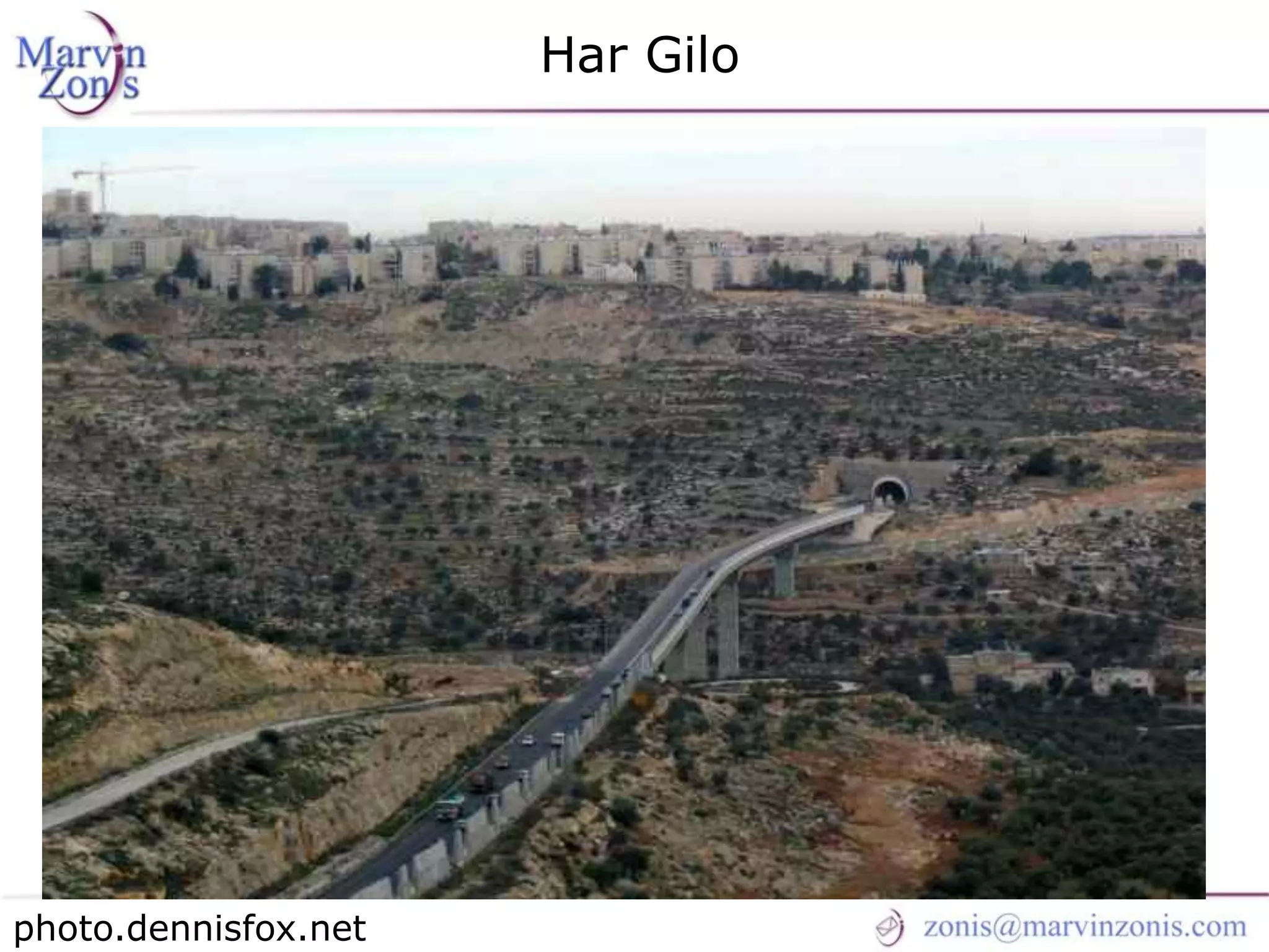 Marvin Zonis - Challenges for President Obama