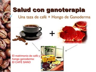 Salud con ganoterapia
     Una taza de café + Hongo de Ganoderma



                          +
El matrimonio de café y
hongo ganoderma:
El CAFÉ SANO
 