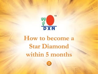 DXN Marketing Plan