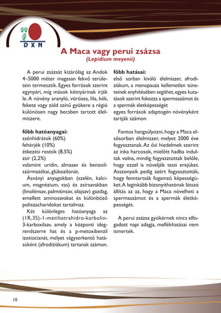 A Maca vagy perui zsázsa
                                    (Lepidium meyenii)

       A perui zsázsát kizárólag az Andok         főbb hatásai:
     4–5000 méter magasan fekvő terüle-           első sorban kiváló élelmiszer, afro­ i­
                                                                                        d
     tein termesztik. Egyes források szerint      ziákum, a menopauza kellemetlen tüne-
     egynyári, míg mások kétnyárinak írják        teinek enyhítésében segíthet, egyes kuta-
     le. A növény aranyló, vöröses, lila, kék,    tások szerint fokozza a spermaszámot és
     fekete vagy zöld színű gyökere a régió       a spermák életképességét
     különösen nagy becsben tartott élel-         egyes források adaptogén növényként
     miszere.                                     tartják számon

     főbb hatóanyagai:                               Fontos hangsúlyozni, hogy a Maca el-
     szénhidrátok (60%)                           sősorban élelmiszer, melyet 2000 éve
     fehérjék (10%)                               fogyasztanak. Az ősi hiedelmek szerint
     étkezési rostok (8,5%)                       az inka harcosok, mielőtt hadba indul-
     zsír (2,2%)                                  tak volna, mindig fogyasztottak belőle,
     valamint uridin, almasav és benzoil-         hogy ezzel is növeljék testi erejüket.
     származékai, glükozilonát.                   Asszonyaik pedig azért fogyasztották,
        Ásványi anyagokban (szelén, kalci-        hogy fenntartsák fogamzó képességü-
     um, magnézium, vas) és zsírsavakban          ket. A leginkább bizonyíthatónak látszó
     (linolénsav, palmitinsav, olajsav) gazdag,   állítás az az, hogy a Maca növelheti a
     emellett aminosavakat és különböző           spermaszámot és a spermák életké-
     poliszacharidokat tartalmaz.                 pességét.
        Két különleges hatóanyaga az
     (1R,3S)-1-metiltetrahidro-karbolin-            A perui zsázsa gyökérnek nincs elfo-
     3-karboxilsav, amely a központi ideg-        gadott napi adagja, mellékhatásai nem
     rendszerre hat és a p-metoxibenzil           ismertek.
     izotiocianát, melyet vágyserkentő hatá-
     súként (afrodiziákum) tartanak számon.




10
 