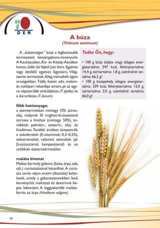 A búza
                                    (Triticum aestivum)

       A „közönséges” búza a legfontosabb         Tudta Ön, hogy:
     termesztett kenyérgabona-növényünk.
     A Kaukázusban, Kis- és Közép-Ázsiában        • 100 g búza (teljes mag) átlagos ener-
     honos, több ősi fajból jött létre. Egyéves   giatartalma: 347 kcal, fehérjetartalma:
     vagy áttelelő egyéves lágyszárú. Világ-      14,4 g, zsírtartalma: 1,8 g, szénhidrát tar-
     szerte termesztik, főleg mérsékelt égövi     talma: 66,2 g?
     országokban. Több, lisztet adó, malom-       • 100 g búzapehely átlagos energiatar-
     és sütőipari rokonfaja ismert, pl. az egy-   talma: 339 kcal, fehérjetartalma: 12,0 g,
     re népszerűbb tönkölybúza (T. spelta) és     zsírtartalma: 2,0 g, szénhidrát tartalma:
     a durumbúza (T. durum).                      66,0 g?

     főbb hatóanyaga:
     a szemtermésben mintegy 10% zsí­ os­r
     olaj, melynek fő triglicerid-össze­ evő
                                        t
     zsírsava a linolsav (mintegy 50%), to-
     vábbiak: palmitin-, sztearin-, olaj- és
     linolénsav. További értékes összetevők
     a tokoferolok (E-vitaminok: 0,3–0,5%),
     tokotrienolok, valamint szterolok (pl.
     β-szitoszterol, kampeszterol) és ez
     utóbbiak észterszármazékai.

     maláta kivonat
     Maláta bármely gabona (búza, árpa, zab,
     stb.) csíráztatásával készülhet. A csírá-
     zás során olyan enzim (diasztáz) kelet-
     kezik, amely a gabonaszemekben levő
     keményítőt maltózzá és dextrinné ké-
     pes lebontani. A leggyakoribb maláta-
     forrás az árpa (Hordeum vulgare).




16
 