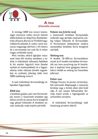 A tea
                                    (Camellia sinensis)

        A mintegy 5000 éve ismert közön-          Fekete tea [vörös tea]
     séges teacserje vadon termő ősének           a leszüretelt leveleket fonnyasztják,
     előfordulását ez ideig Kína, Északkelet-     sodorják vagy aprítják, majd párás, me-
     India (Assam), Burma és Thaiföld hegy-       leg helyen füllesztik ill. fermentálják.
     vidékeiről jelezték. A vadon növő tea-       A fermentáció befejeztével sötétre
     cserje magassága elérheti a 10 métert,       színeződött leveleket forró levegővel
     de a termesztett tea csak kb. 6 méter        szárítják.
     magas, örökzöld cserje.
        Mint minden, eltérő éghajlati viszo-      Oolong tea:
     nyok közt élő növény esetében, a te-         A levelek 10–50%-os fermentáláson
     ának is különböző változatai fejlődtek       esnek át. A kisebb mértékben fermen-
     ki. Az enyhén fagytűrő kínai (levelei        tált tea neve pouchong tea. A hazánk-
     nyúltak és keskenyebbek) és a fagyér-        ban is kapható kínai gyógytea keveré-
     zékeny indiai változat (levelei nagyob-      kekre inkább az oolong tea használata
     bak és oválisak). Jelenleg több mint         jellemző.
     3000 teaféleség ismert!
                                                  Fehér tea:
       A teát különböző fermentáltsági ál-        Főképp Fucsien és Jünnan tartomány-
     lapotban fogyasztják.                        ból származik. Alapanyagát a teacserje
                                                  bimbója vagy a bimbó alatti első levél
     Zöld tea:                                    adja. A tea összes felhasználási for-
     a leveleket gyűjtés után nem fermentál-      mája közül ennek a legmagasabb az
     ják, hanem a leszüretelt leveleket egy       antioxidáns tartalma.
     tálcára terítik és száraz, forró levegővel
     vagy gőzzel hőkezelik. A leveleket ez-         A különböző fermentáltságú teák
     után sodorják, majd enyhén pörkölik.         hatóanyag tartalma eltérő!




18
 