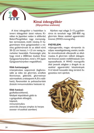 Kínai édesgyökér
                                 (Glycyrrhiza uralensis)

       A kínai édesgyökér a hazánkban is           Ajánlott napi adagja: 5–15 g gyökér-
     ismert édesgyökér ázsiai rokona. Kí-       törzs és tarackok vagy 200–800 mg
     nában és Japánban vadon is előfordul,      glicirrizin illetve ezekkel egyenértékű
     Belső-Mongóliában nagy mennyiség-          kivonat (WHO-monográfia).
     ben termesztett, évelő növény. A ha-
     gyományos kínai gyógyászatban a nö-        FIGYELEM:
     vény gyökértörzsét és az abból növő        májzsugorodás, magas vérnyomás és
     20–22 cm hosszú, 1–1,5 cm vastag ta-       súlyos veseelégtelenség esetén, továb-
     rackokat használják. Fontosságát jelzi,    bá várandósoknak ellenjavallt az alkal-
     hogy mind a 2000-ben kiadott Kínai         mazása. A glicirrizin nélküli édesgyö-
     Gyógyszerkönyvben, mind a XV. Japán        kér-kivonat esetén mellékhatások nem
     Gyógyszerkönyvben megtalálható.            tapasztalhatók. A WHO monográfia
                                                által javasolt adagban a drogok és az
     főbb hatóanyagai:                          azokkal egyenértékű készítmények
     triterpénvázas szaponinok (legfonto-       4–6 hétnél hosszabb ideig történő fo-
     sabb az édes ízű glicirrizin, emellett     gyasztása nem ajánlott.
     likviricinsav, glabrolid, glicirretinsav
     származékok, uralszaponin A, B is talál-
     ható), flavonoidok és poliszacharidok
     (köztük immunmoduláns hatásúak is)

     főbb hatásai:
     gyulladáscsökkentő,
     fekélyek képződését gátló és
     a gyógyulását elősegítő,
     köptető,
     immunstimuláns
     antivirális (herpes simplex és herpes
     zooster vírusokkal szemben)




24
 