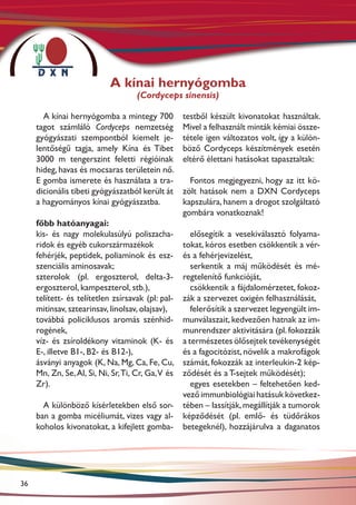 A kínai hernyógomba
                                     (Cordyceps sinensis)

       A kínai hernyógomba a mintegy 700            testből készült kivonatokat használtak.
     tagot számláló Cordyceps nemzetség             Mivel a felhasznált minták kémiai össze-
     gyógyászati szempontból kiemelt je-            tétele igen változatos volt, így a külön-
     lentőségű tagja, amely Kína és Tibet           böző Cordyceps készítmények esetén
     3000 m tengerszint feletti régióinak           eltérő élettani hatásokat tapasztaltak:
     hideg, havas és mocsaras területein nő.
     E gomba ismerete és használata a tra-            Fontos megjegyezni, hogy az itt kö-
     dicionális tibeti gyógyászatból került át      zölt hatások nem a DXN Cordyceps
     a hagyományos kínai gyógyászatba.              kapszulára, hanem a drogot szolgáltató
                                                    gombára vonatkoznak!
     főbb hatóanyagai:
     kis- és nagy molekulasúlyú poli­ za­ ha­
                                          s c          elősegítik a vesekiválasztó folyama-
     ridok és egyéb cukorszármazékok                tokat, kóros esetben csökkentik a vér-
     fehérjék, peptidek, poliaminok és es�-         és a fehérjevizelést,
     szenciális aminosavak;                            serkentik a máj működését és mé-
     szterolok (pl. ergoszterol, delta-3-           regtelenítő funkcióját,
     ergoszterol, kampeszterol, stb.),                 csökkentik a fájdalomérzetet, fokoz-
     telített- és telítetlen zsírsavak (pl: pal-    zák a szervezet oxigén felhasználását,
     mitinsav, sztearinsav, linolsav, olajsav),        felerősítik a szervezet legyengült im-
     továbbá policiklusos aromás szénhid-           munválaszait, kedvezően hatnak az im-
     rogének,                                       munrendszer aktivitására (pl. fokozzák
     víz- és zsíroldékony vitaminok (K- és          a természetes ölősejtek tevékenységét
     E-, illetve B1-, B2- és B12-),                 és a fagocitózist, növelik a makrofágok
     ásványi anyagok (K, Na, Mg, Ca, Fe, Cu,        számát, fokozzák az interleukin-2 kép-
     Mn, Zn, Se, Al, Si, Ni, Sr, Ti, Cr, Ga, V és   ződését és a T-sejtek működését);
     Zr).                                              egyes esetekben – feltehetően ked-
                                                    vező immunbiológiai hatásuk következ-
       A különböző kísérletekben első sor-          tében – lassítják, megállítják a tumorok
     ban a gomba micéliumát, vizes vagy al-         képződését (pl. emlő- és tüdőrákos
     koholos kivonatokat, a kifejlett gomba-        betegeknél), hozzájárulva a daganatos




36
 
